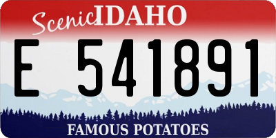 ID license plate E541891