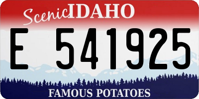 ID license plate E541925