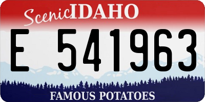 ID license plate E541963
