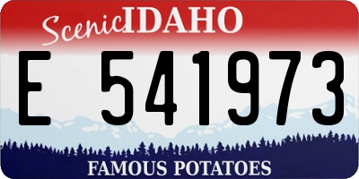 ID license plate E541973