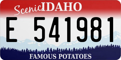 ID license plate E541981
