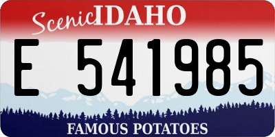 ID license plate E541985