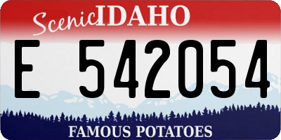 ID license plate E542054