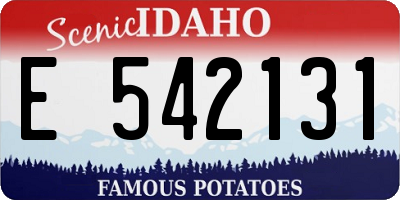 ID license plate E542131