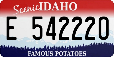 ID license plate E542220