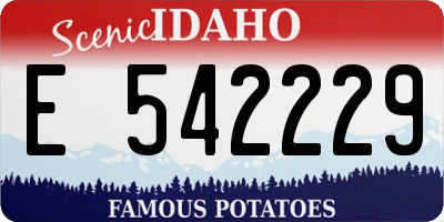 ID license plate E542229