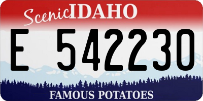 ID license plate E542230