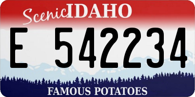 ID license plate E542234