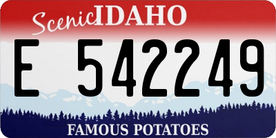 ID license plate E542249