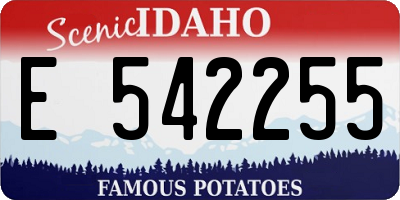 ID license plate E542255