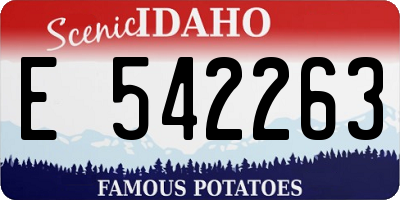 ID license plate E542263