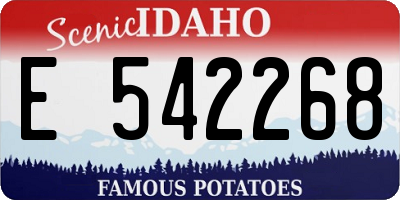 ID license plate E542268