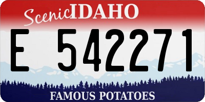 ID license plate E542271