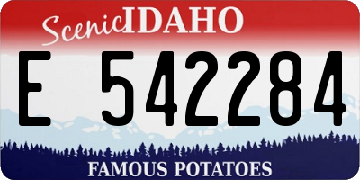 ID license plate E542284
