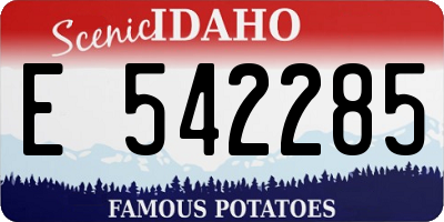 ID license plate E542285