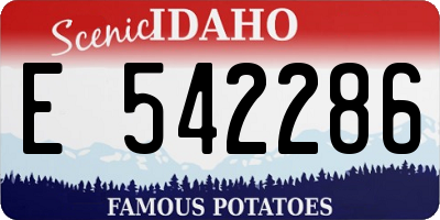 ID license plate E542286