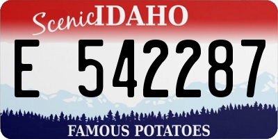 ID license plate E542287