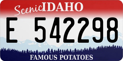 ID license plate E542298