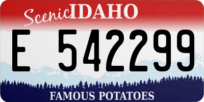ID license plate E542299