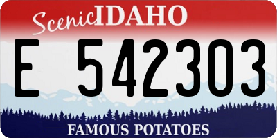 ID license plate E542303