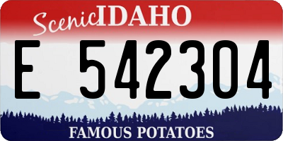 ID license plate E542304