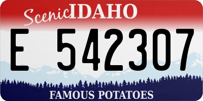 ID license plate E542307