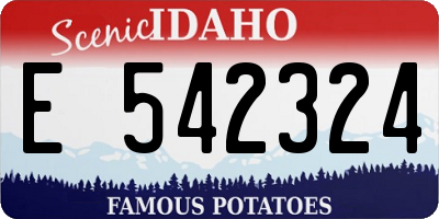 ID license plate E542324
