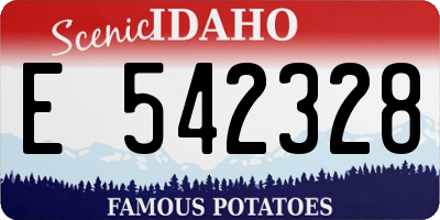 ID license plate E542328