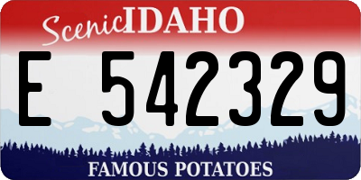 ID license plate E542329