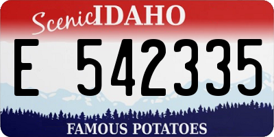 ID license plate E542335