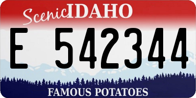 ID license plate E542344