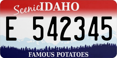 ID license plate E542345