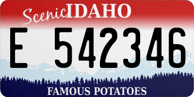 ID license plate E542346