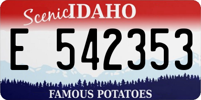 ID license plate E542353