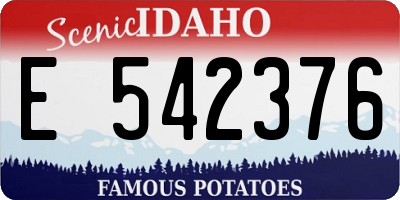 ID license plate E542376