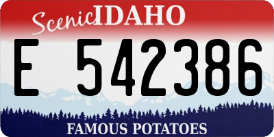 ID license plate E542386
