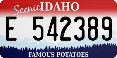 ID license plate E542389