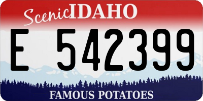 ID license plate E542399