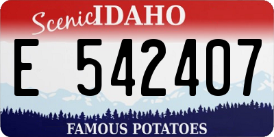 ID license plate E542407