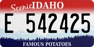 ID license plate E542425