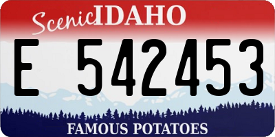 ID license plate E542453