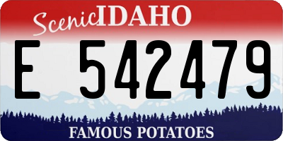 ID license plate E542479