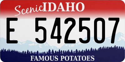 ID license plate E542507