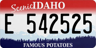 ID license plate E542525
