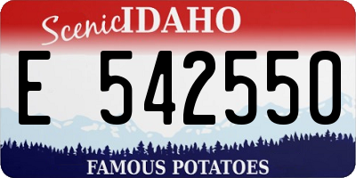 ID license plate E542550
