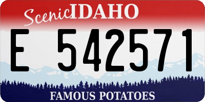ID license plate E542571