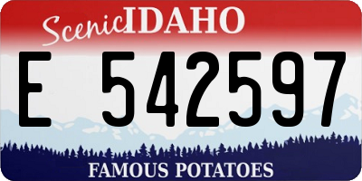 ID license plate E542597