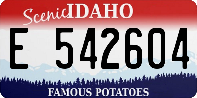 ID license plate E542604