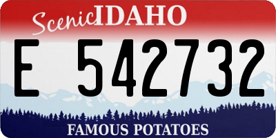 ID license plate E542732