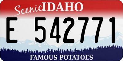 ID license plate E542771